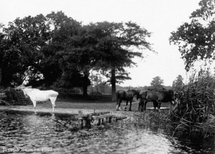 Wroxham Broad 1902