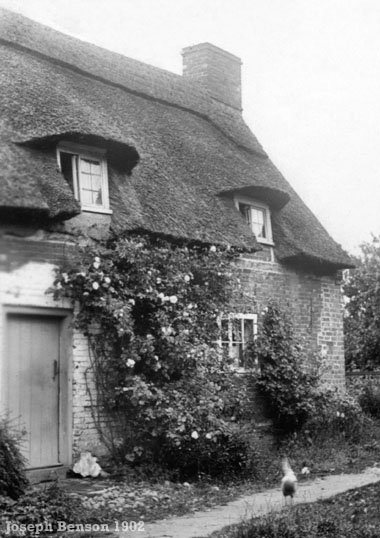 Cottages at South Walsham 1902