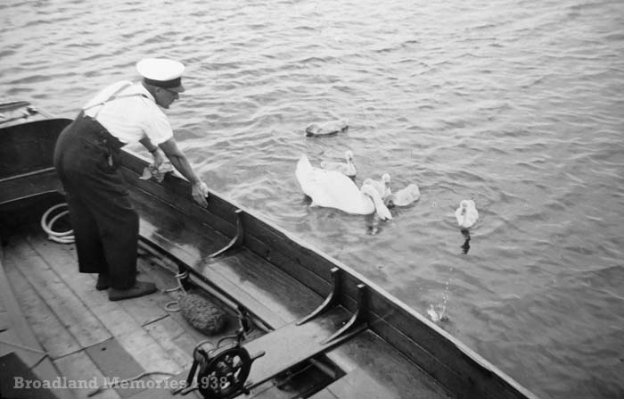 Swan Family Norfolk Broads 2938