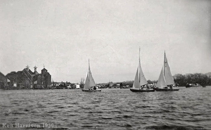 Gull dinghies at Oulton Broad 1950s