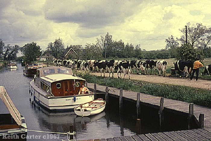 The staithe at Rockland St. Mary c1967.