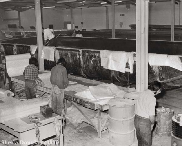 Preparing the fibreglass sheets for the boats at Caribbean Cruisers in Loddon c1970.