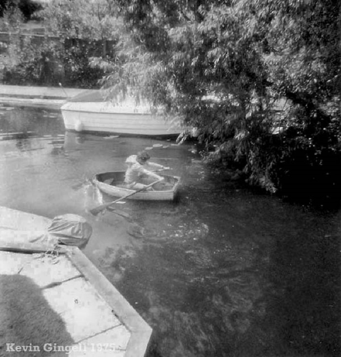 Horning 1975