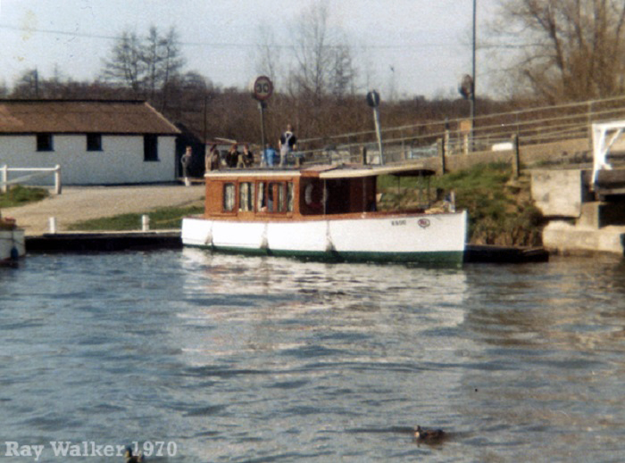 Golden Plover 1970
