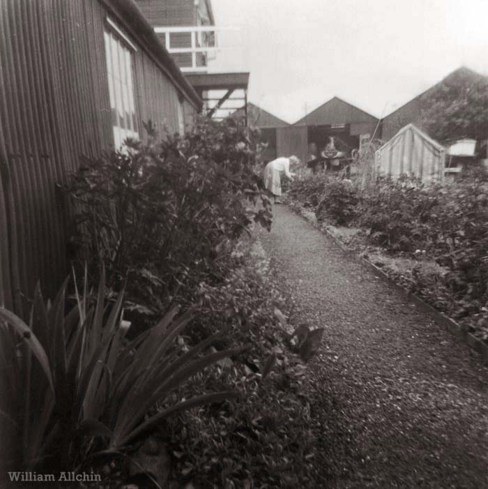 The Boat House garden c1950s