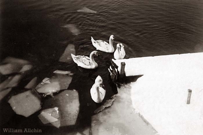 Winter thaw at the Broads Tours base