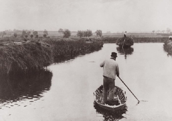 Quanting The Marsh Hay