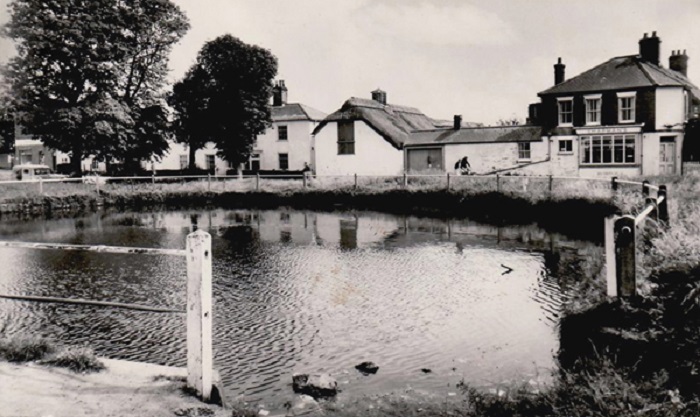 The village pond at Martham c1950s